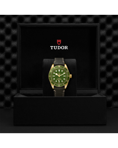 Tudor Black Bay Fifty-Eight 39 mm yellow gold case, Brown alligator bracelet (watches)